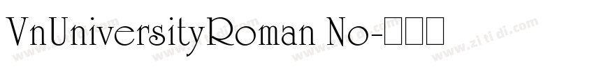 VnUniversityRoman No字体转换